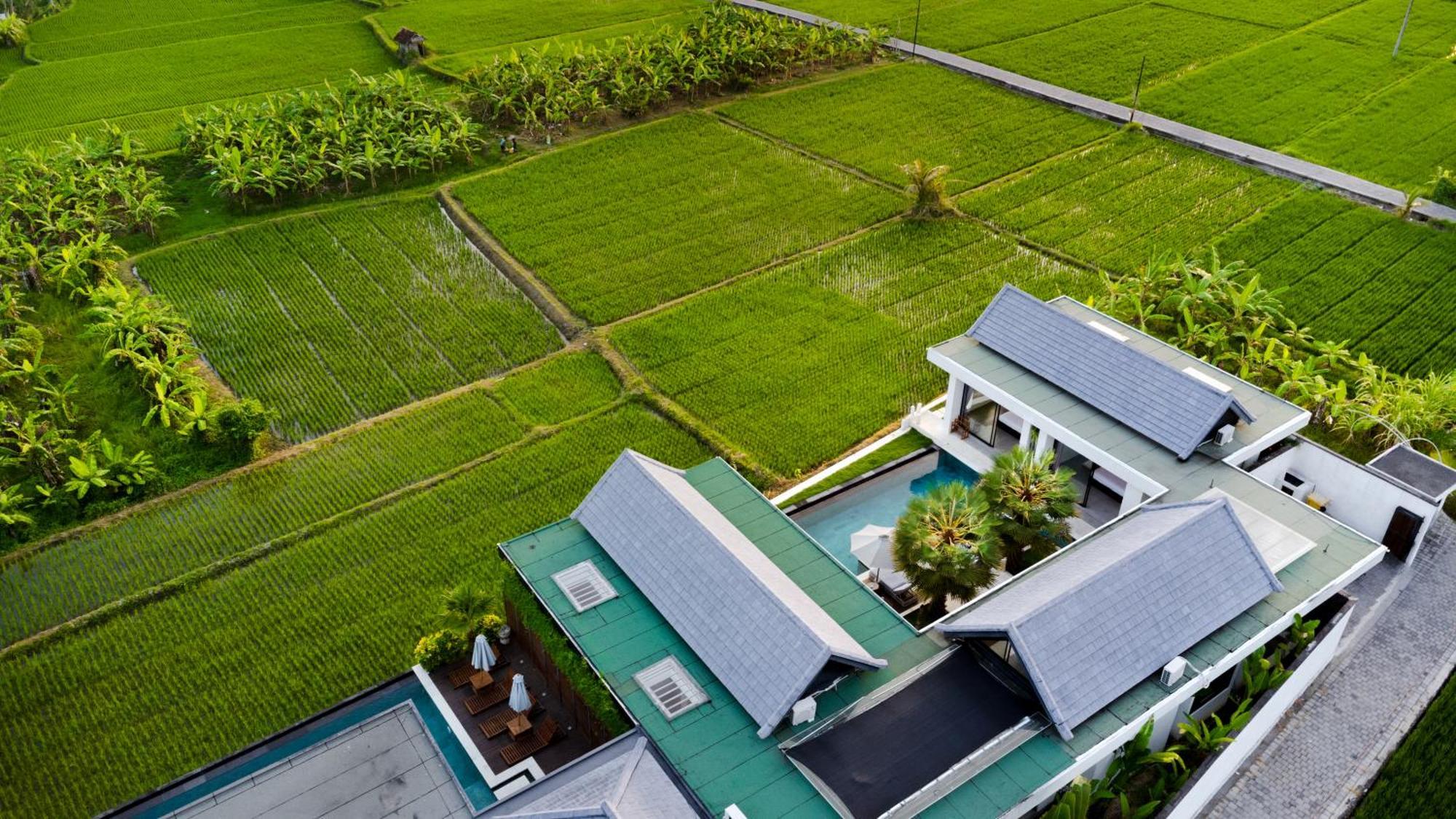 Villa Lina Ubud Esterno foto